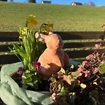 Grosse Ideal Fuer Gruppen, Naehe Thun Und Interlaken