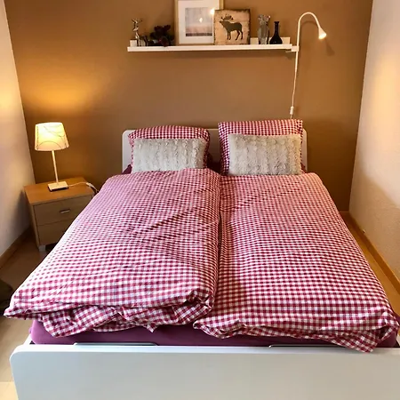 Zulg-ideal Fuer Gruppen & Familien Apartment Steffisburg