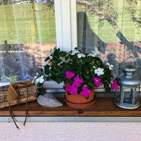 Grosse Mit Gartentiny, Naehe Thun Und Interlaken Steffisburg