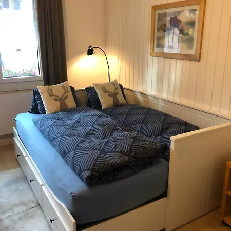 Apartment Zulg-ideal Fuer Gruppen & Familien Steffisburg