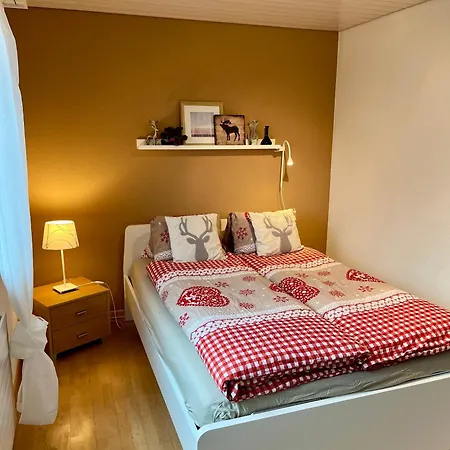 דירה Grosszuegige Ferienwohnung Fuer Gruppen Nahe Thun & Interlaken *
