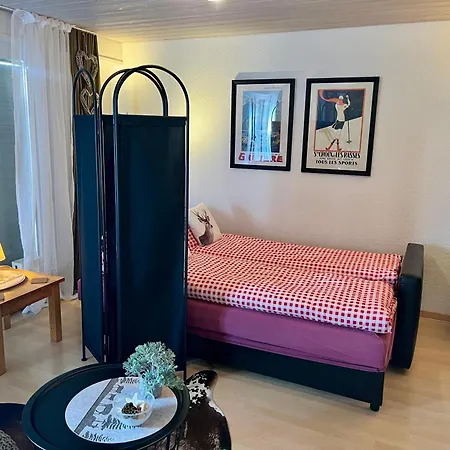 Grosszuegige Ferienwohnung Fuer Gruppen Nahe Thun & Interlaken 公寓 施特菲斯堡