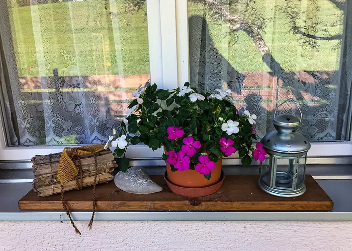 Grosse Mit Gartentiny, Naehe Thun Und Interlaken 施特菲斯堡