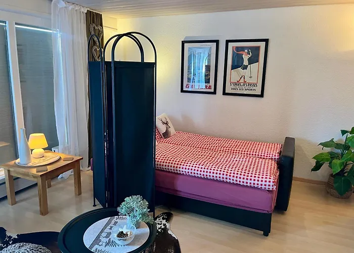 Grosse Mit Gartentiny, Naehe Thun Und Interlaken 公寓 施特菲斯堡