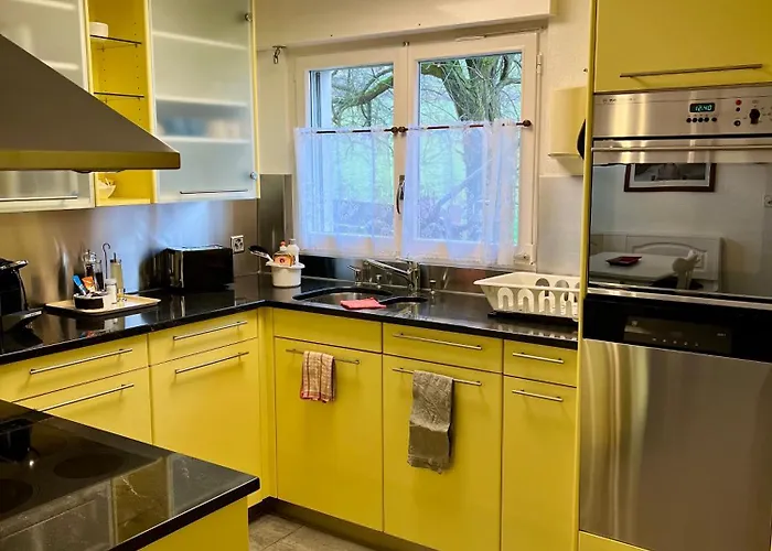 Grosse Mit Gartentiny, Naehe Thun Und Interlaken 施特菲斯堡