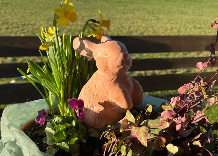 Grosse Ideal Fuer Gruppen, Naehe Thun Und Interlaken