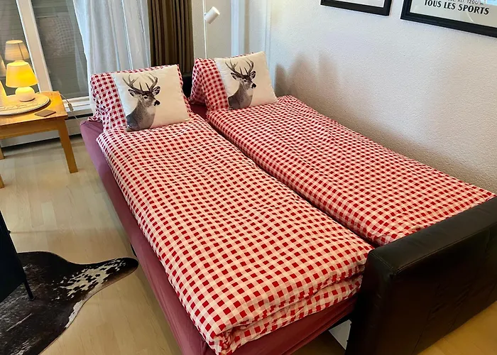 Grosse Ideal Fuer Gruppen, Naehe Thun Und Interlaken Appartement