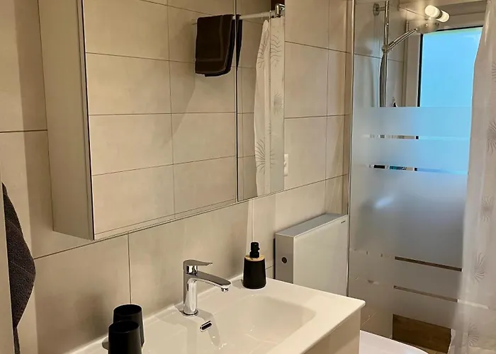 Appartement Grosse Ideal Fuer Gruppen, Naehe Thun Und Interlaken